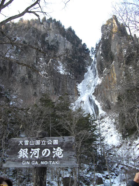 d0116059_21504617.jpg