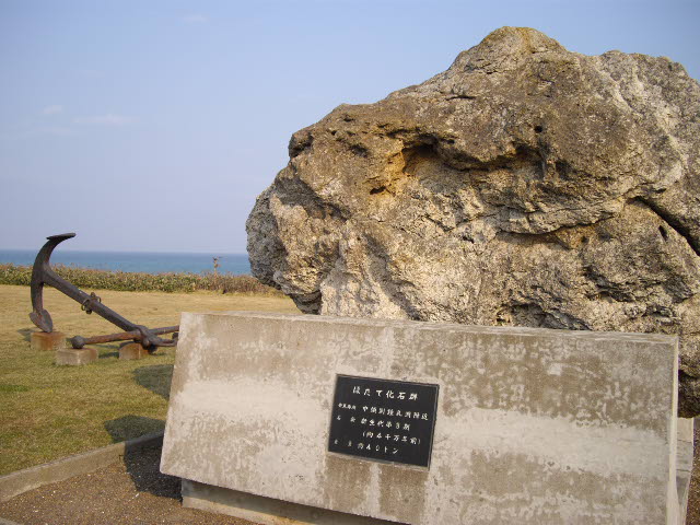 d0116059_21593267.jpg