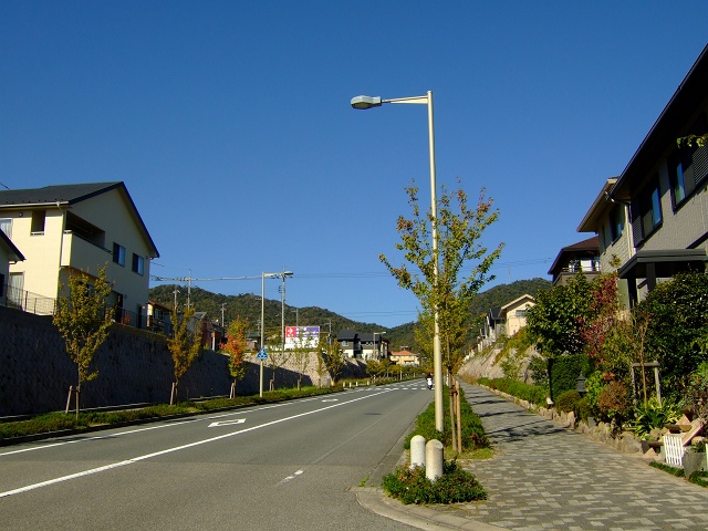 瀬野・みどり坂の紅葉散歩②　みどり中央駅前と団地内_b0095061_825229.jpg