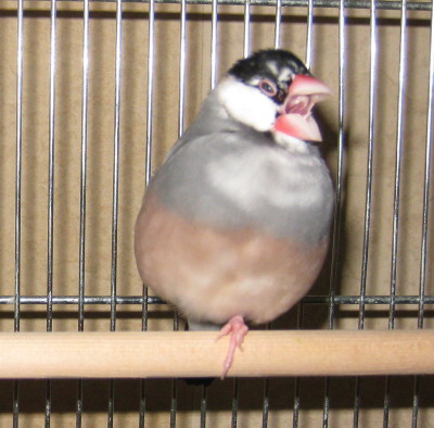 b0158061_2014505.jpg