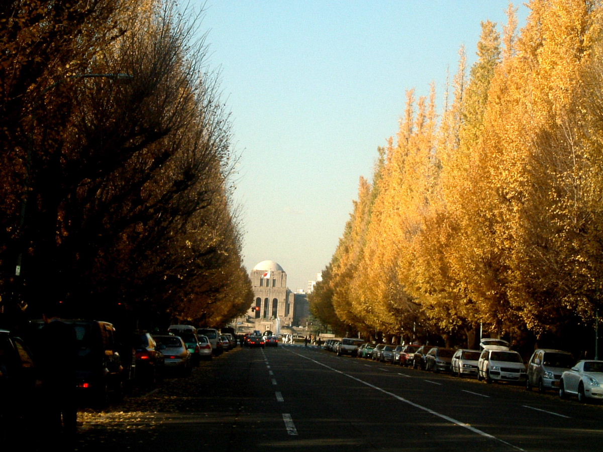b0067569_23494874.jpg