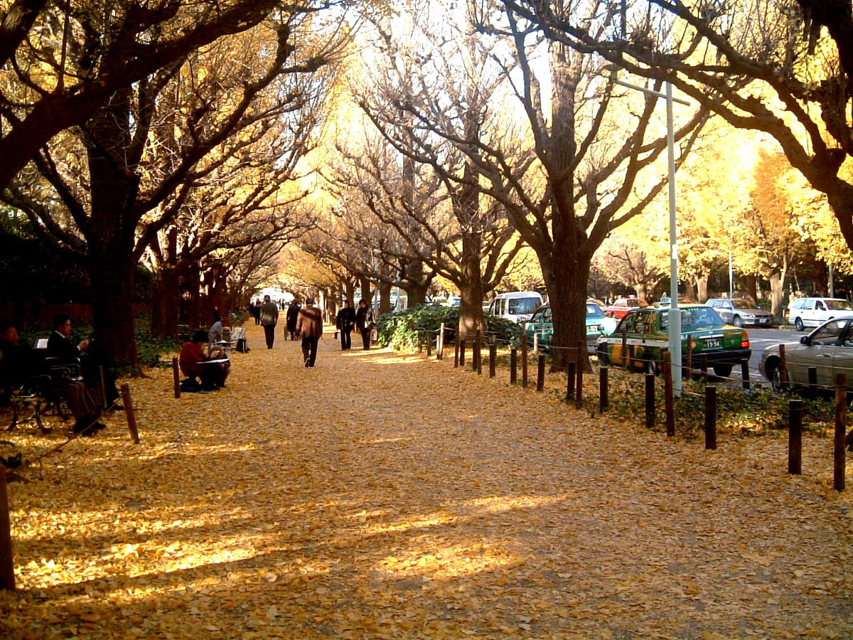 b0067569_23511656.jpg