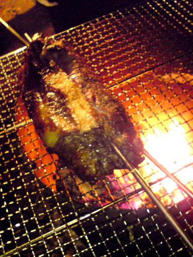 c0044673_22281361.jpg