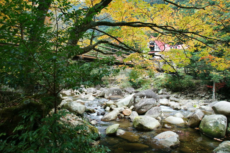 e0152576_09327.jpg