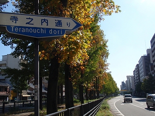 c0105785_9161271.jpg
