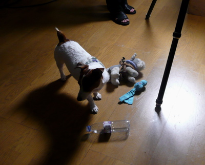 f0146198_15284443.jpg