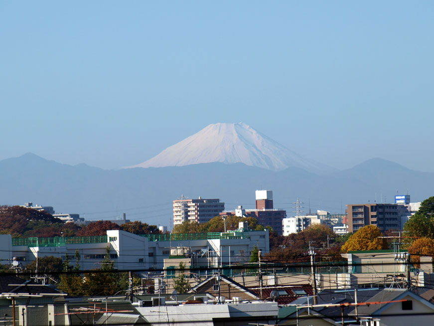 １１月の晴れた日に_f0108399_2125267.jpg