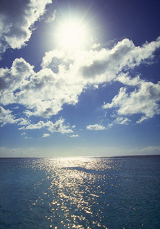 a0026800_16343618.jpg