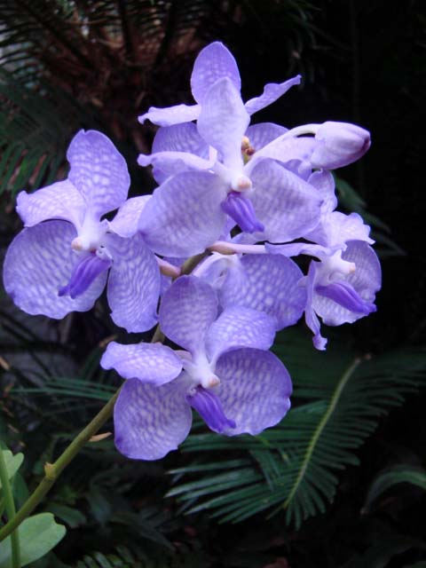 d0007501_21541019.jpg
