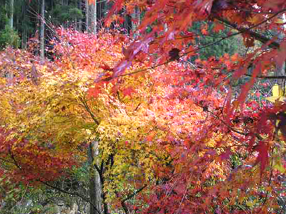f0006704_18375081.jpg