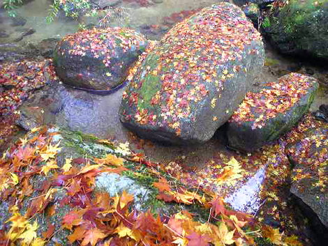 f0006704_1838721.jpg