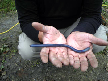 f0006704_19184124.jpg