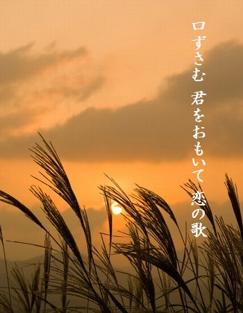 a0043405_01169.jpg