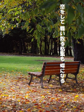 a0043405_015986.jpg