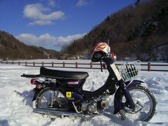b0050305_2011677.jpg