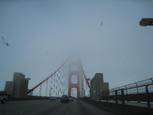 c0049105_13563361.jpg