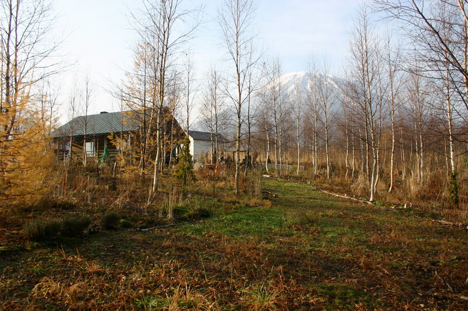 d0143719_10591517.jpg