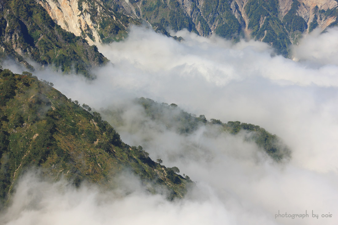 e0123723_15241271.jpg