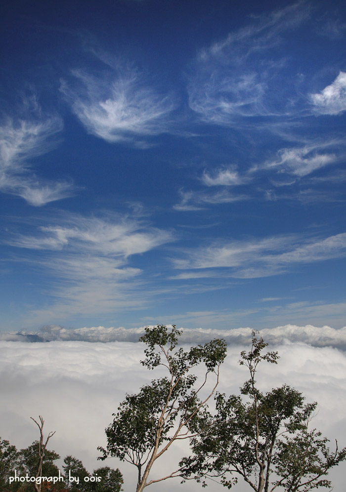 e0123723_1882530.jpg