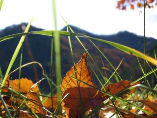 e0069433_020867.jpg