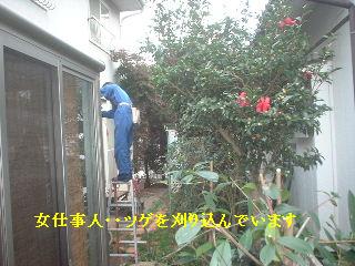 ハイスピードの作業_f0031037_2002858.jpg