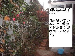 ハイスピードの作業_f0031037_200565.jpg