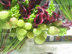 f0134642_0464386.gif
