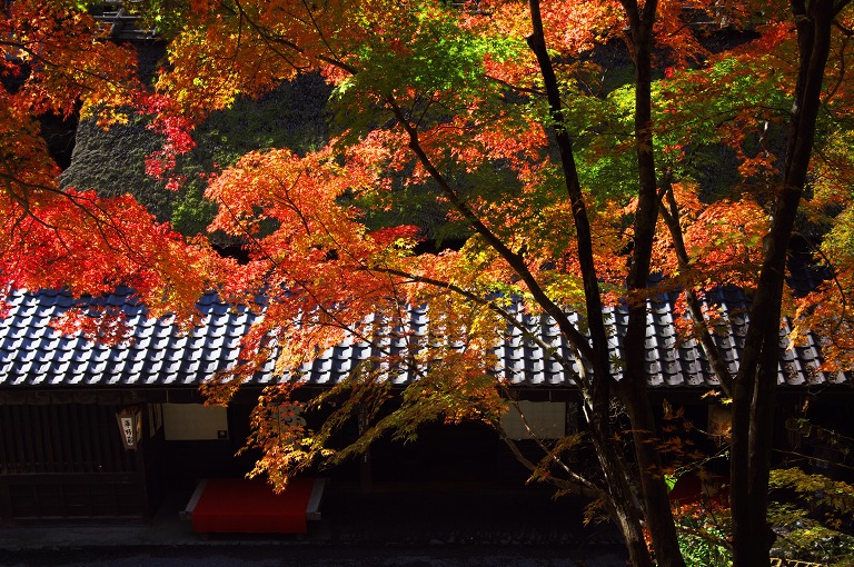 平野屋（嵯峨野・鳥居本）_f0155048_2392144.jpg