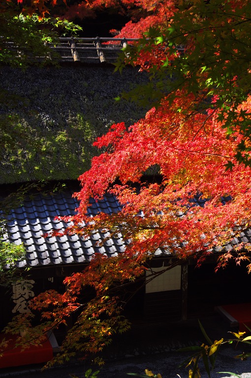 平野屋（嵯峨野・鳥居本）_f0155048_2393451.jpg