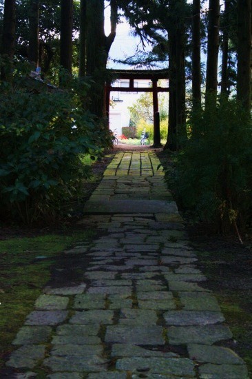 e0126350_20181889.jpg