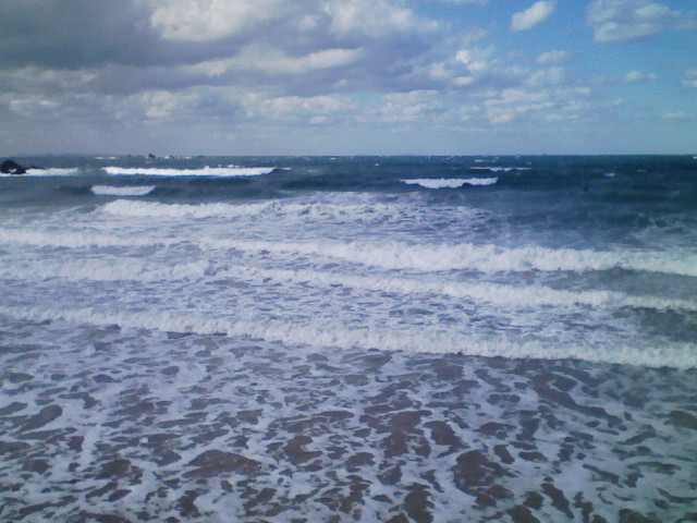 d0076864_1324912.jpg