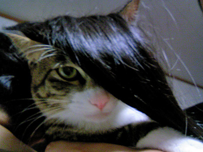 a0064067_2350100.jpg