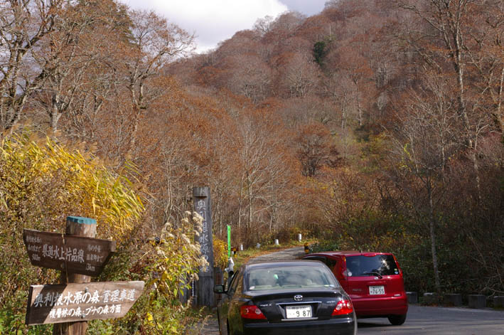 シリーズ：秋の利根川紀行―水源の森を訪ねて―第５回_c0014967_21464368.jpg