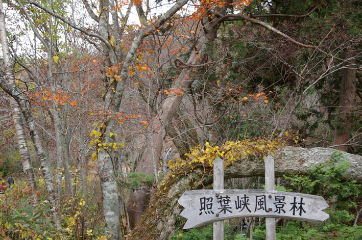 シリーズ：秋の利根川紀行―水源の森を訪ねて―第５回_c0014967_2151016.jpg