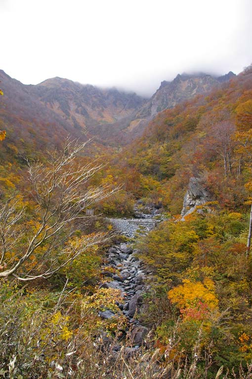 シリーズ：秋の利根川紀行―水源の森を訪ねて―第５回_c0014967_21514064.jpg