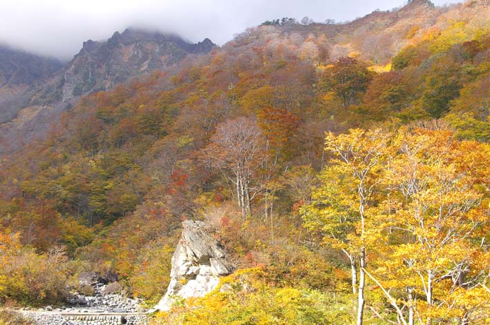シリーズ：秋の利根川紀行―水源の森を訪ねて―第５回_c0014967_21515444.jpg