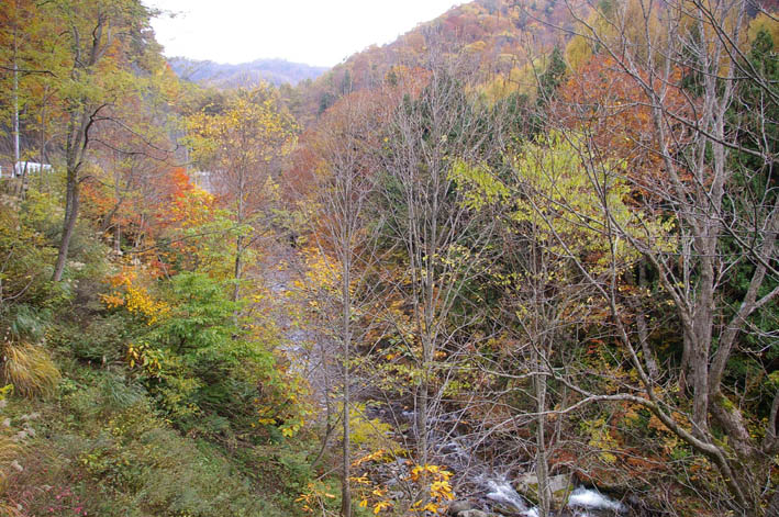 シリーズ：秋の利根川紀行―水源の森を訪ねて―第５回_c0014967_21522330.jpg