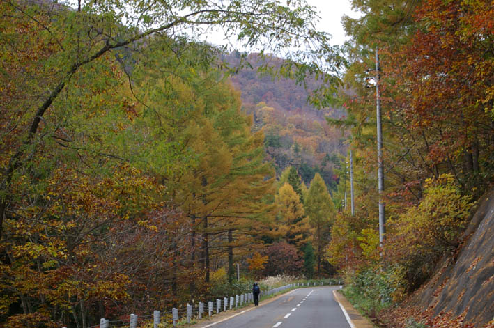 シリーズ：秋の利根川紀行―水源の森を訪ねて―第５回_c0014967_21524294.jpg