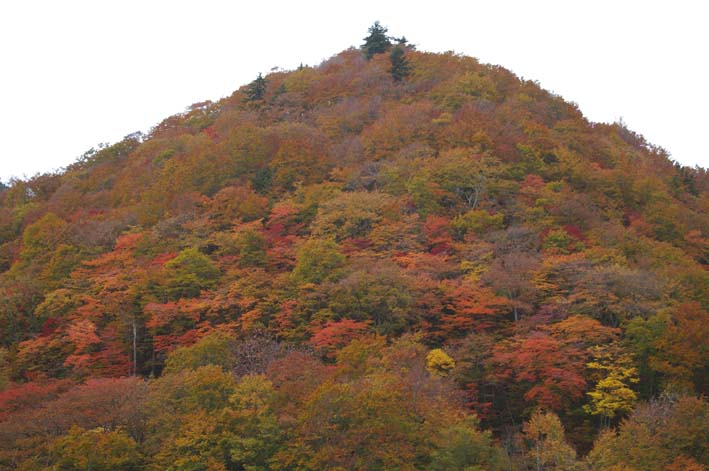 シリーズ：秋の利根川紀行―水源の森を訪ねて―第５回_c0014967_2154579.jpg