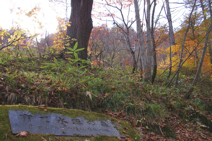 シリーズ：秋の利根川紀行―水源の森を訪ねて―第５回_c0014967_21553025.jpg