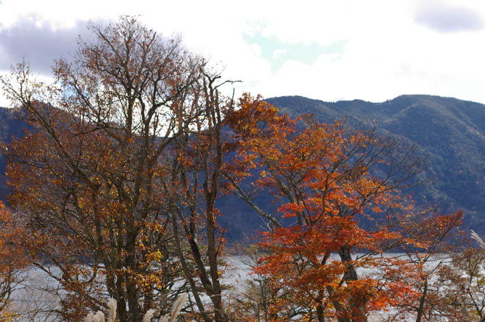 シリーズ：秋の利根川紀行―水源の森を訪ねて―第５回_c0014967_2245643.jpg