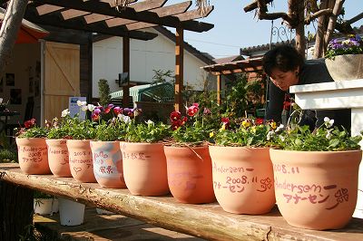 それぞれの花_b0137969_18157.jpg