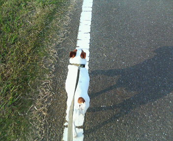 e0106372_20371639.jpg