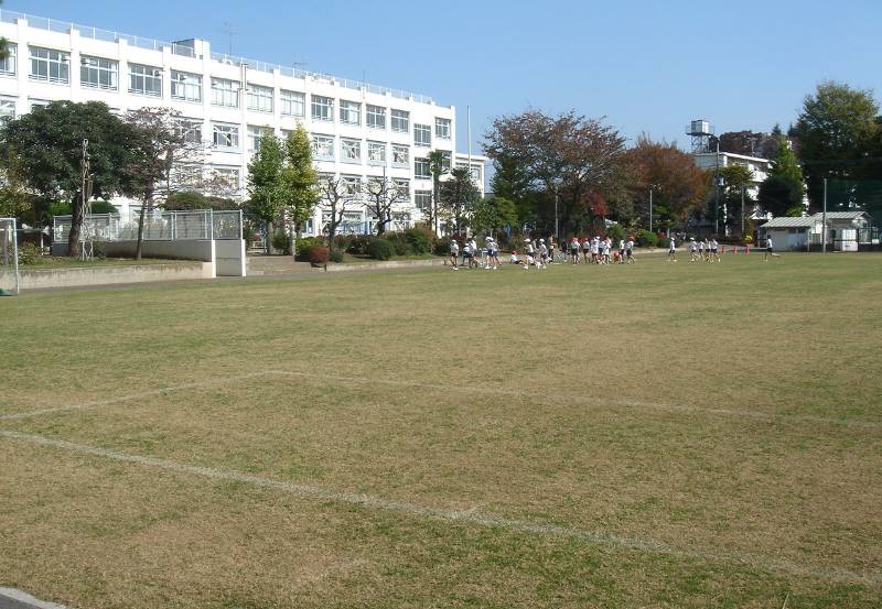 小金井第二小学校校庭芝生 佐野いくおのブログ