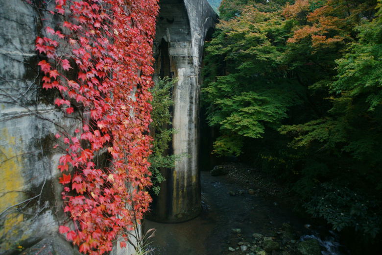 e0152576_2127282.jpg