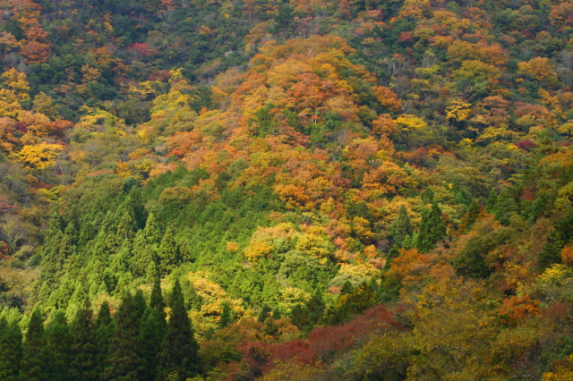 c0148777_18261085.jpg