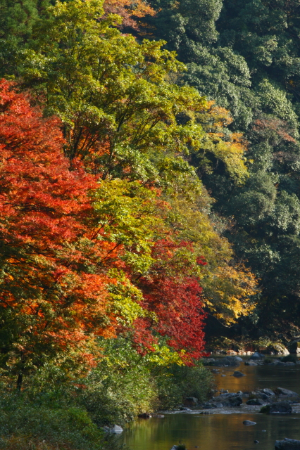 c0148777_1827610.jpg
