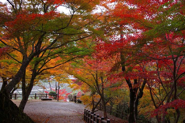 三次市尾関山公園の紅葉_f0130879_23181640.jpg