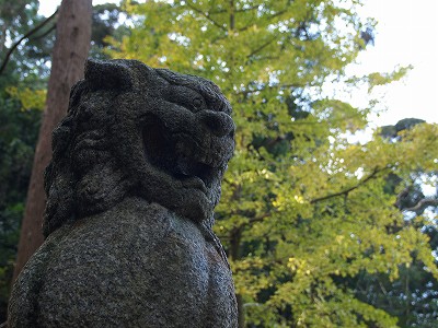 近所の神社_f0197985_20341827.jpg