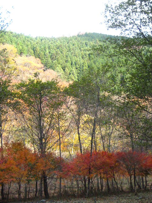 e0060987_2032563.jpg